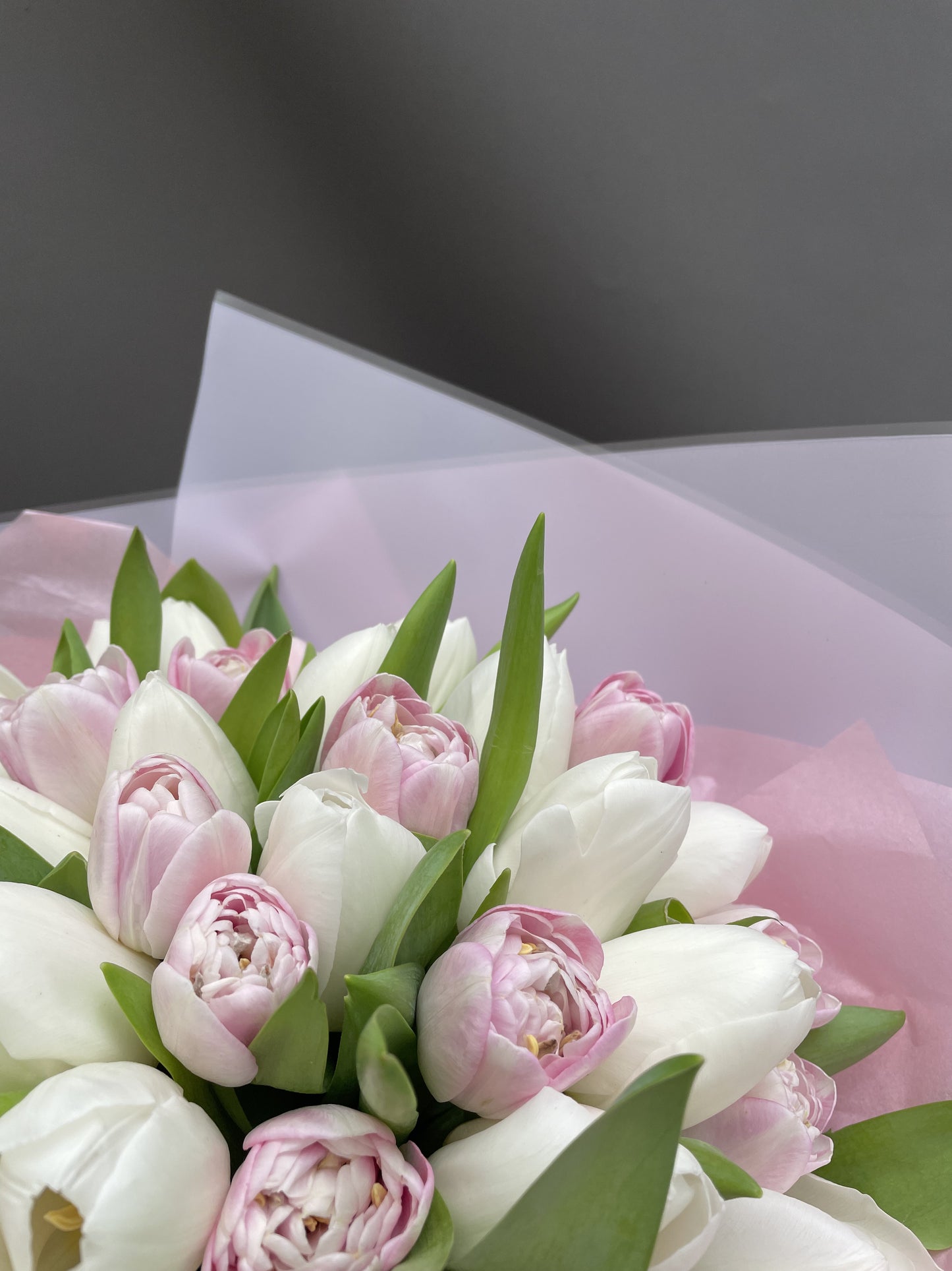 Fiona - bouquet of white and pink tulips