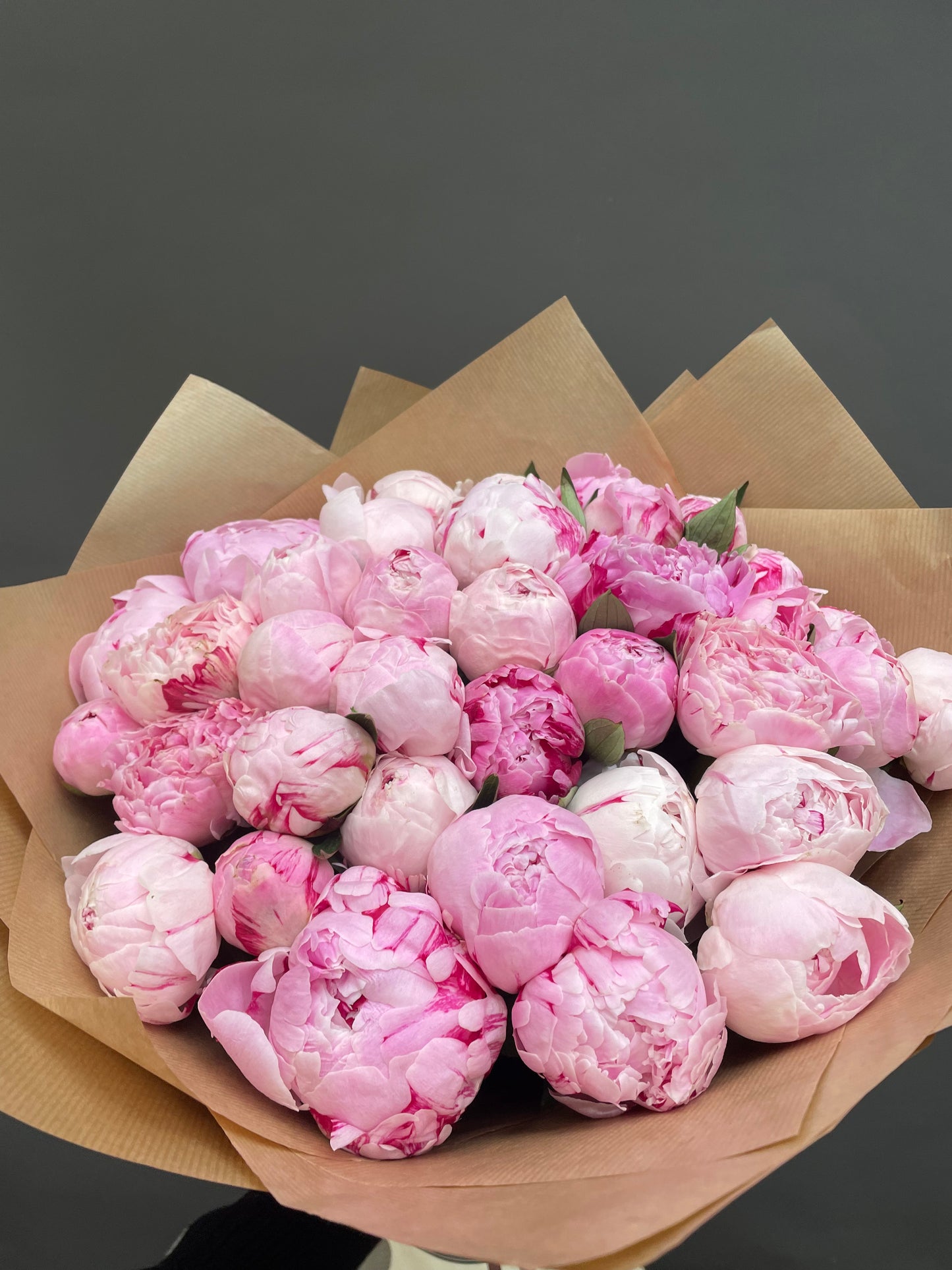 Claire - 36 beautiful pink peonies