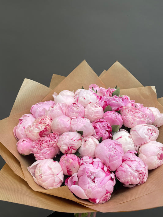 Claire - 36 beautiful pink peonies