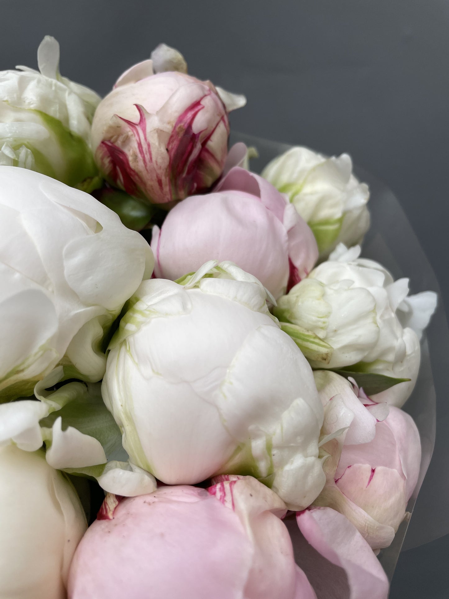 Selena - delicate bouquet of peonies