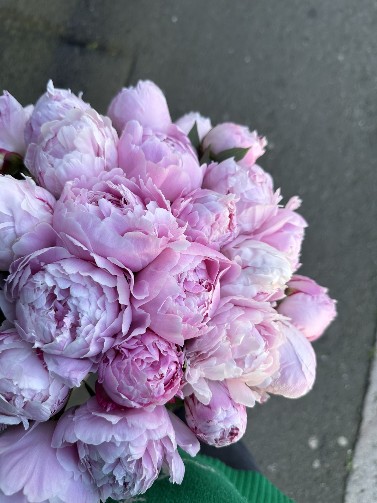 Annette - mono bouquet of pink peonies