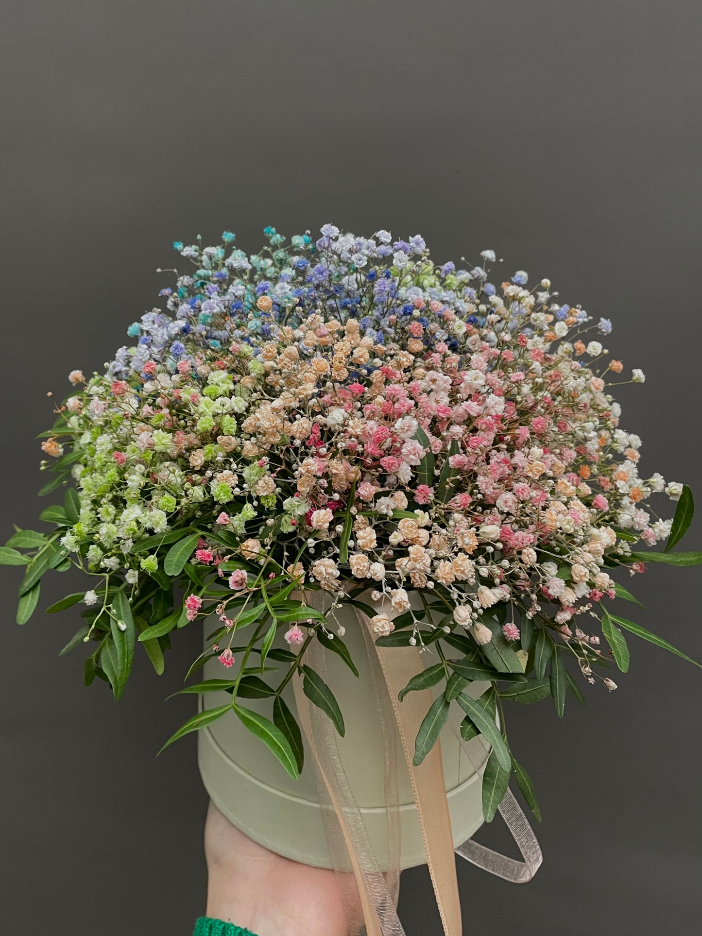 Rainbow Gypsophila