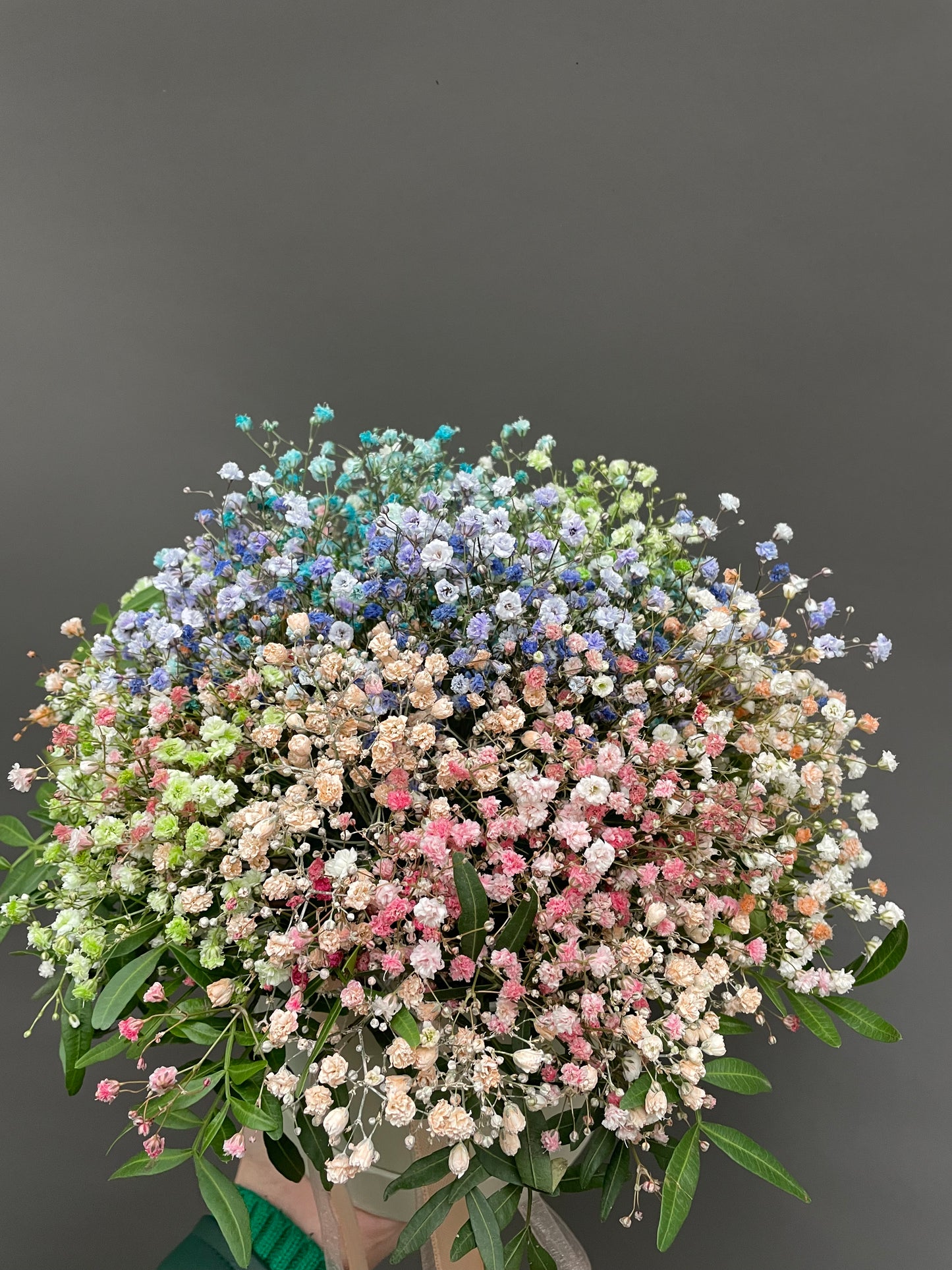 Rainbow Gypsophila