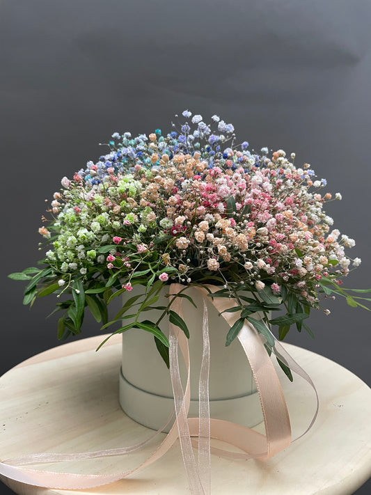 Rainbow Gypsophila