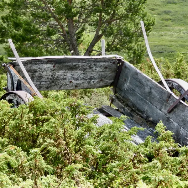 An old empty wooden cart in a meadow