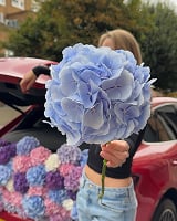 Floritta flowers on Instagram
